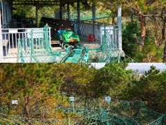 -盈香心动乐园