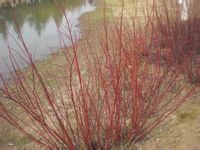 -白塘生态植物园