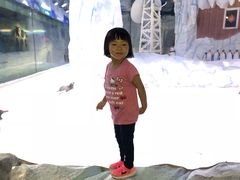 -芜湖新华联大白鲸海洋公园