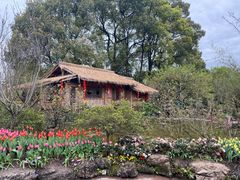 -南山植物园