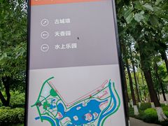 -桂湖森林公园