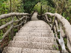 -梧桐山风景名胜区