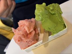 -野人牧坊Gelato(天津南开大悦城店)