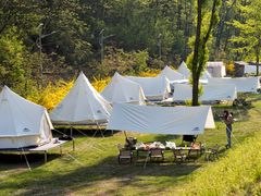 -大连天门山国家森林公园