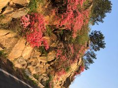-木兰云雾山