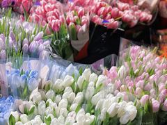 -循礼门鲜花花市(武汉循礼门店)