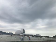 -野狸岛