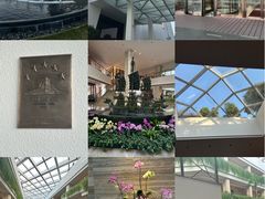 -广州白天鹅宾馆