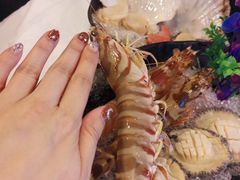 -鲜入围煮花胶鸡海鲜火锅