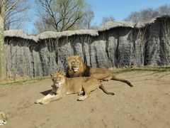 -北京野生动物园