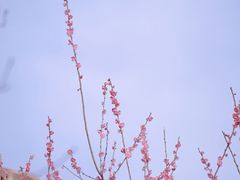 -径山寺
