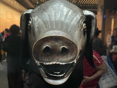 -广西壮族自治区博物馆