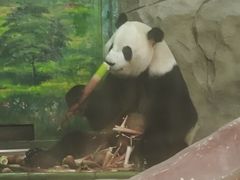-灵玲国际马戏城