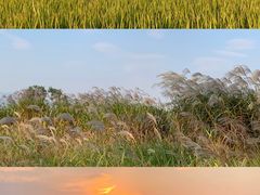 -良渚古城遗址公园
