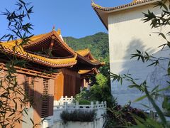 -深圳仙湖植物园