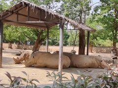 -西安秦岭野生动物园