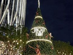 -深圳湾万象城(南山店)