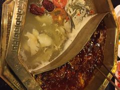 蜀九香火锅酒楼(彩虹店)-蜀九香火锅(彩虹店)