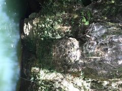 怀托摩萤火虫洞-怀托摩萤火虫洞