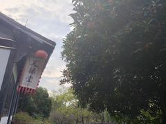 -天禄堂西溪庄园