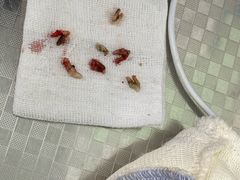 -天津前进宠物医院(前进道店)