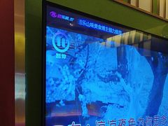 -音乐派KTV(银泰城店)