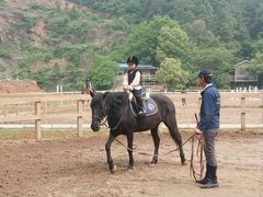 -枫露马术学院(藏书校区)
