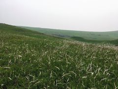 -恋山坝上草原