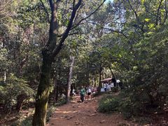 -虞山风景区