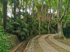 -紫金山天文台