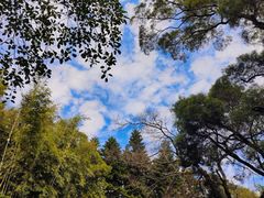 -广州市白云山风景名胜区