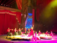 -珠海横琴长隆《卡卡虎奇遇记》