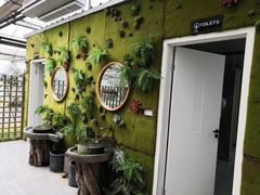 -桉树林A coffee 森林餐厅(三圣乡店)