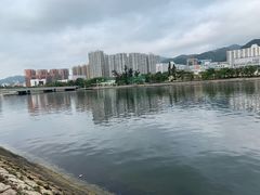 -美心皇宫(沙田大会堂店)
