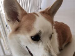 -平行世界·猫咖(首经贸店)