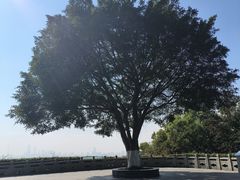 -火炉山森林公园