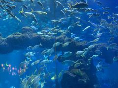 -海合安青岛极地海洋公园