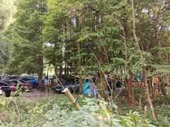 -武陵山森林公园