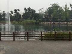 -成飞公园