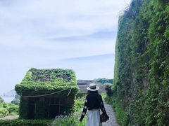 -枸杞岛