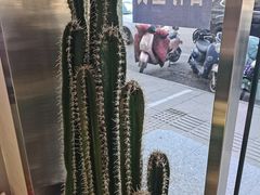 -仙雨林·奶茶鲜果茶(书院巷店)