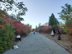 -南翠屏公园