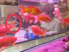 -粗粮人家·东北菜(洋桥店)