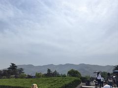 -秦始皇帝陵博物院-丽山园