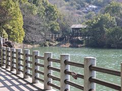 -白马涧龙池景区