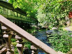 -夏霖九天银瀑风景区