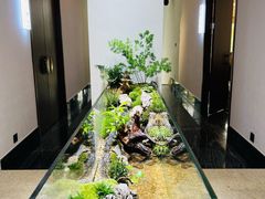 -十二厨·土菜雅院