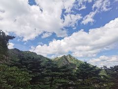 -牛背梁国家森林公园