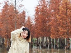 -白鹭湾湿地公园