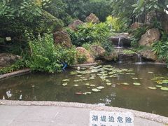 -晓港公园